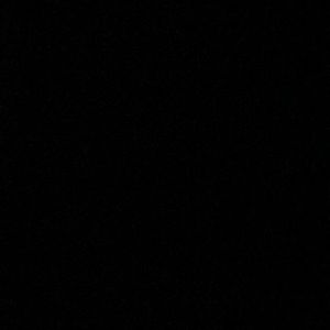 Meet your Posher, Dylan